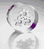 Haraeus zality metalografický vzorek