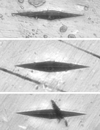 Vtisk tvrdoměru obklopený nečistotami nebo škrábanci